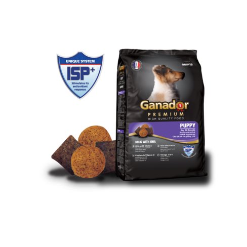 Thức ăn cho chó con GANADOR VỊ SỮA & DHA 400GR 