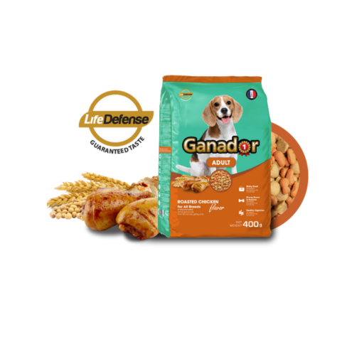 Hạt Ganador Adult Cho Chó Trưởng Thành vị gà nướng 400gr