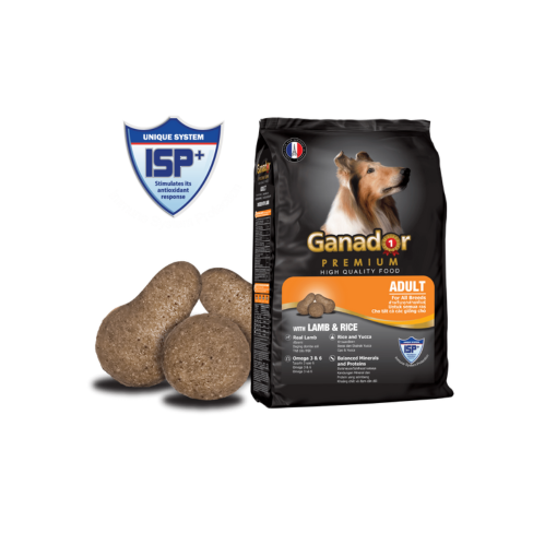 Hạt Ganador Adult Cho Chó Trưởng Thành Vị Cừu & Gạo 400g