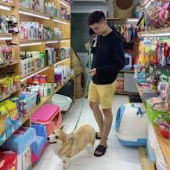 Lê Phương